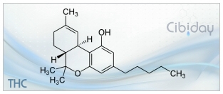 THC Tetrahydrocannabinol info